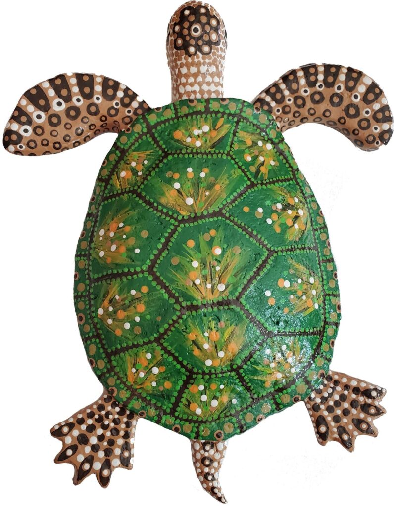 Irisa rainbow Sea Turtle